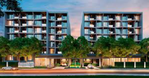 คอนโด ให้เช่า วีธารา สุขุมวิท 36 | Vtara Sukhumvit 36 คลองเตย - PROPSYNC